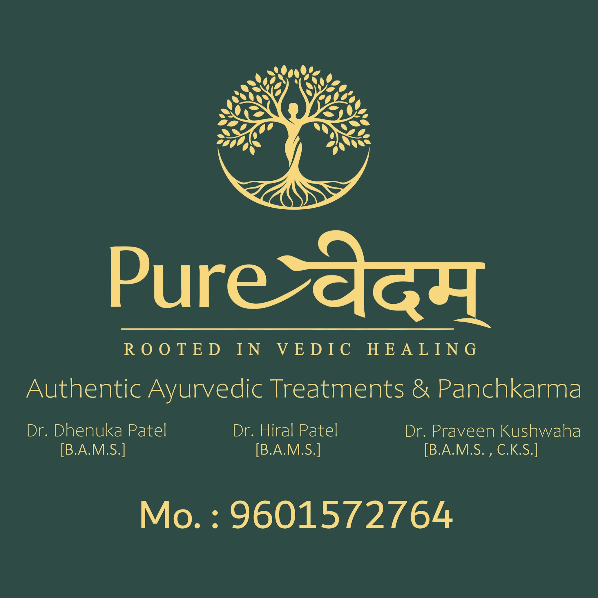 PureVedam Panel of Professional Experts: Dr. Dhenuka Patel, Dr. Hiral Patel, Dr. Praveen Kushwaha Lineup Profiles